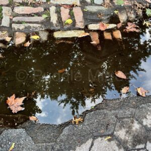 Cobble Tones