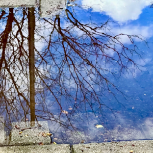 Blue Blue Sky