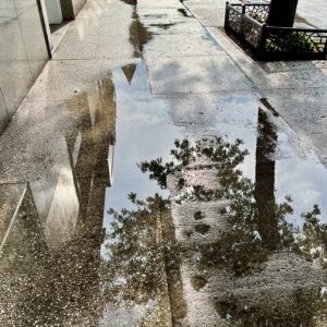 Reflective Afternoon