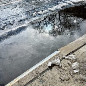 Winter Flash of Blue